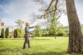 Best Storm Damage Tree Cleanup  in , AL